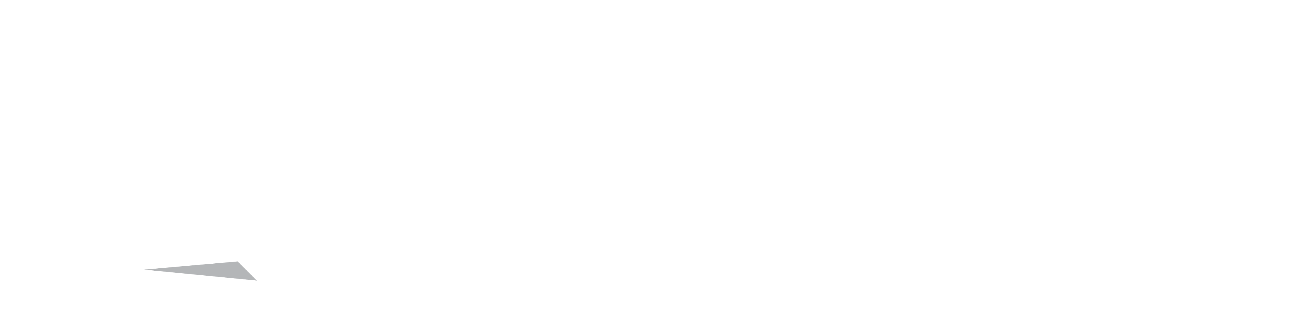 vn logo white with shadow@600x
